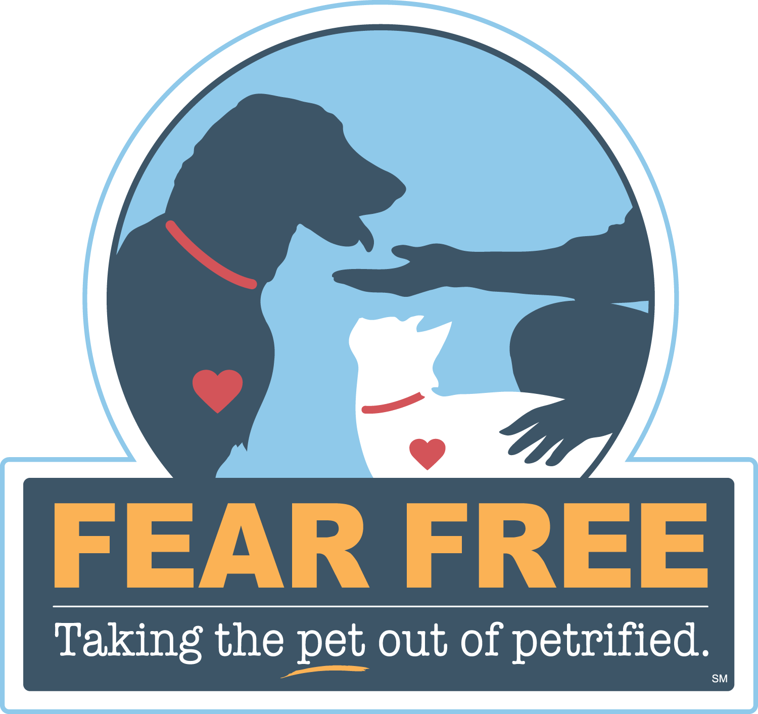 Fear Free Vet in Rochester, Dover & Milton Broadview Animal Hospital