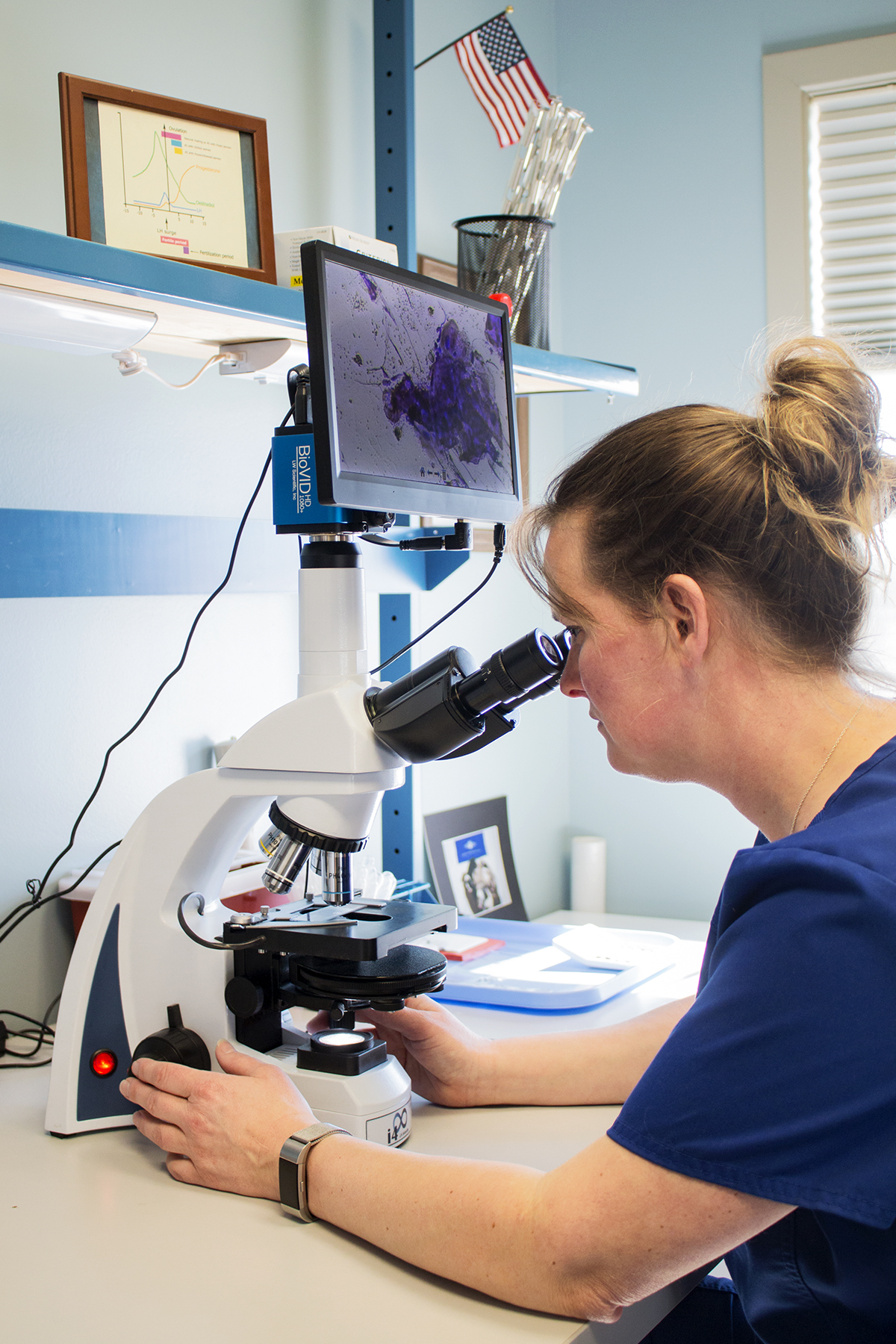 Veterinary Diagnostic Care in Rochester, Dover and Milton, NH