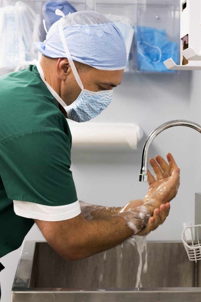 Externship in Rochester, Dover and Milton, NH Broadview Animal Hospital