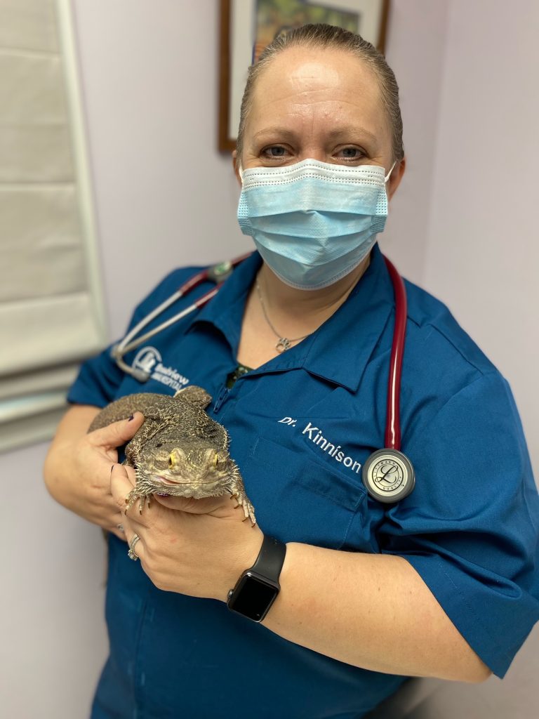 Small Mammals and Reptiles in Rochester, Dover and Milton, NH