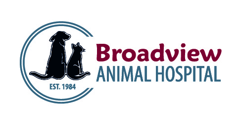 Broadview Animal Hospital