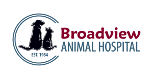 Broadview Animal Hospital
