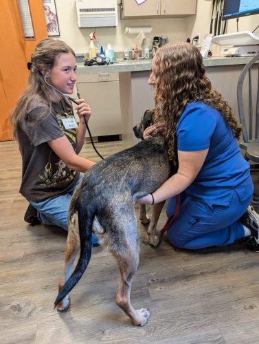 PXL 20240914 152457572