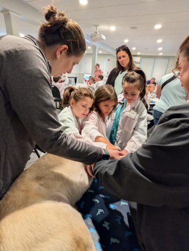 PXL 20250920 175934496